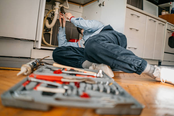 Best Plumbing Inspection Services  in Sitka, AK